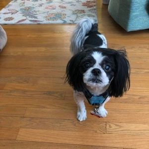 Meet your Posher, Jo ann